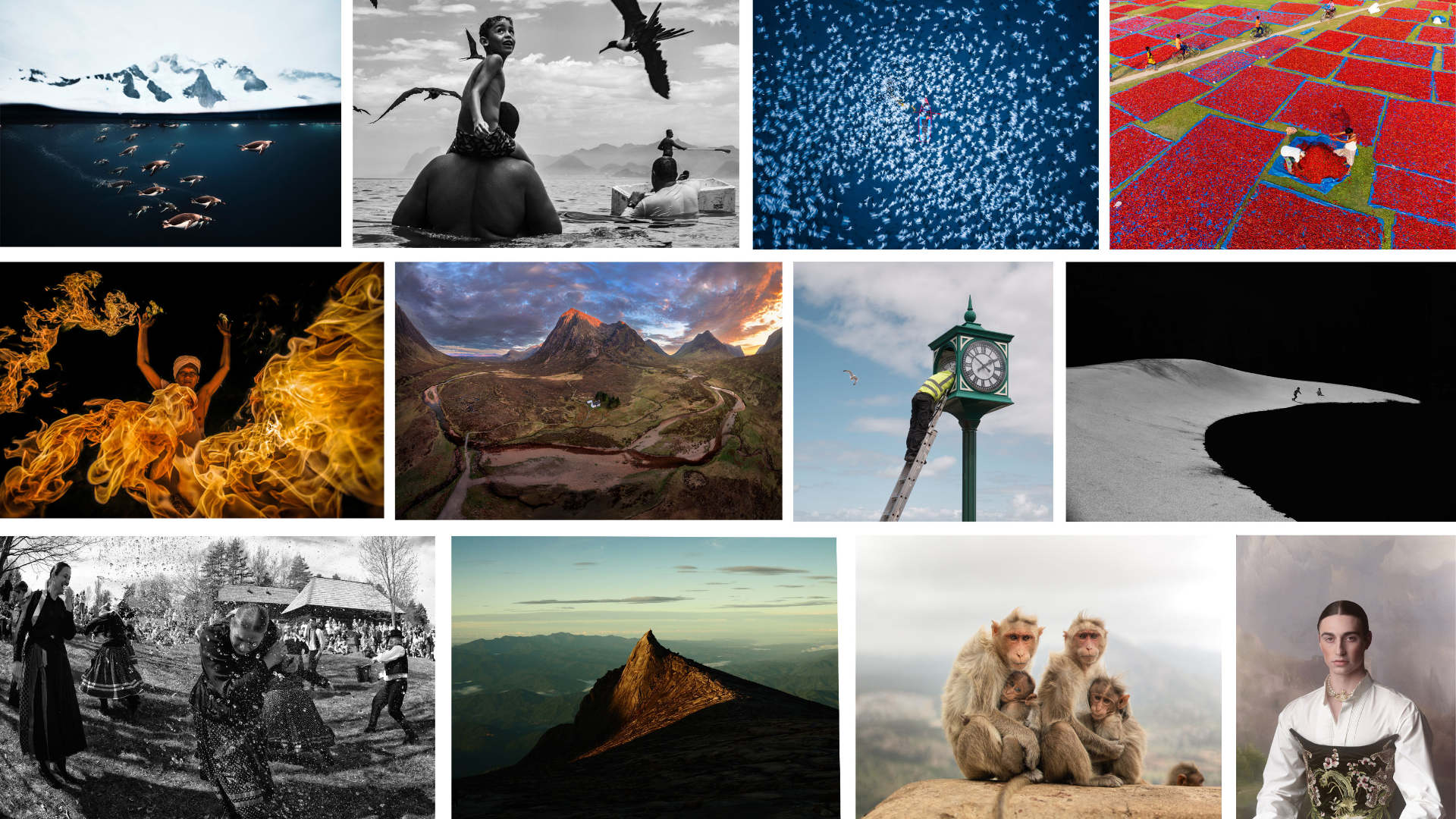 用影像讓世界看見台灣！2026 索尼世界攝影大獎開放徵件，台灣攝影師投稿即具「台灣區域國家獎」參賽資格