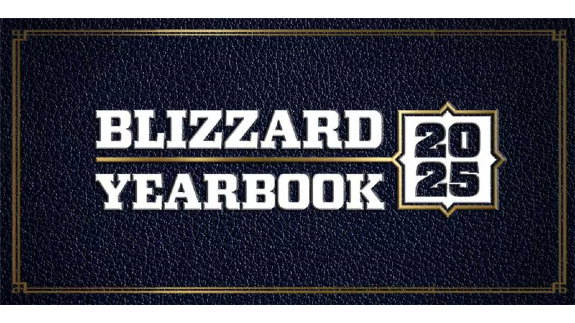 暴雪娛樂首推年度紀念冊回顧遊戲內特別數據：《魔獸世界》累計擊敗 12 億個首領、《鬥陣特攻 2》輸出 29 兆驚人總傷害